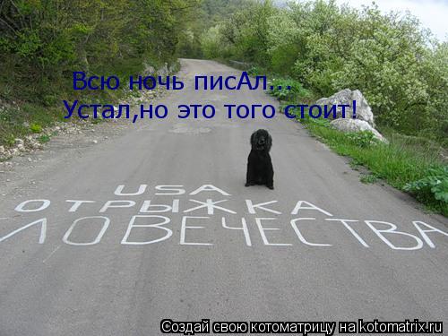 Котоматрица: Всю ночь писАл... Устал,но это того стоит!