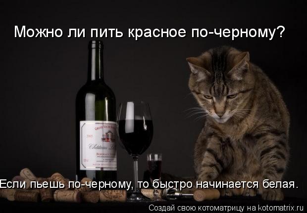 Если пьешь по-черному, то быстро начинается белая. Можно ли пить красное по-черному?... Котоматрица: Если пьешь по-черному, то быстро начинается белая. Можно ли пить красное по-черному?