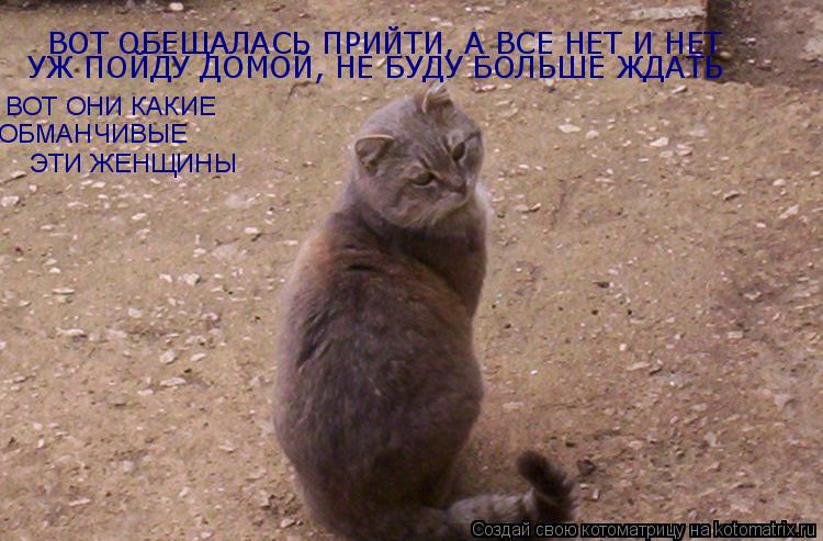 Котоматрица: ВОТ ОБЕЩАЛАСЬ ПРИЙТИ, А ВСЕ НЕТ И НЕТ УЖ ПОЙДУ ДОМОЙ, НЕ БУДУ БОЛЬШЕ ЖДАТЬ ВОТ ОНИ КАКИЕ  ОБМАНЧИВЫЕ ЭТИ ЖЕНЩИНЫ