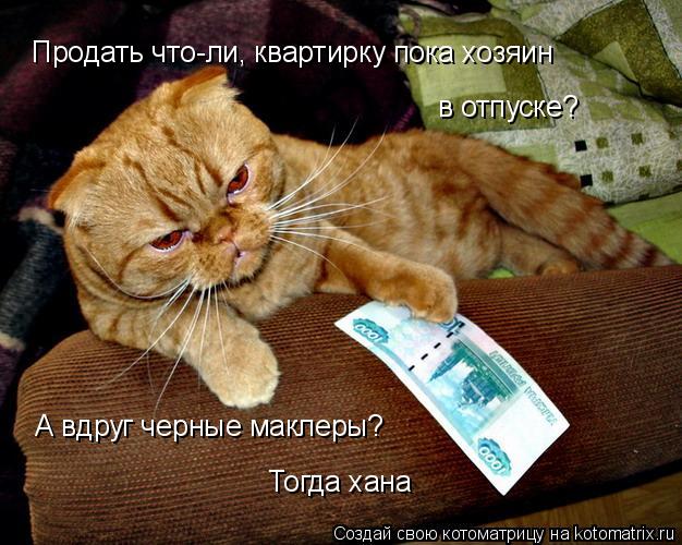 Котоматрица: в отпуске? Продать что-ли, квартирку пока хозяин  А вдруг черные маклеры? Тогда хана