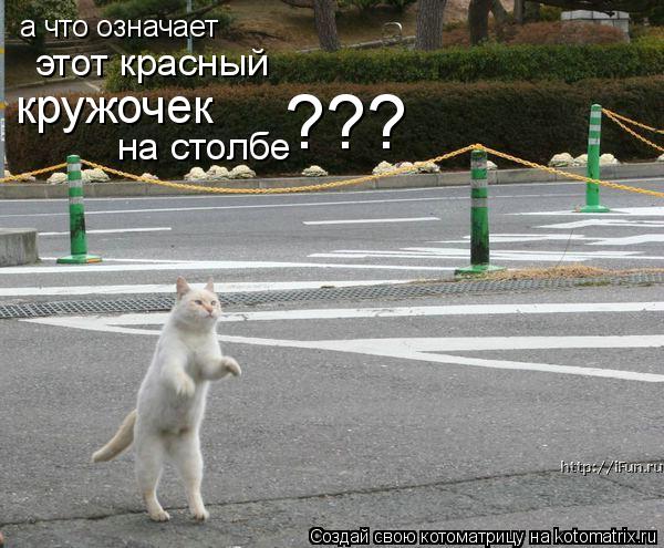 а что означает этот красный кружочек на столбе ???... Котоматрица: а что означает этот красный кружочек на столбе ???