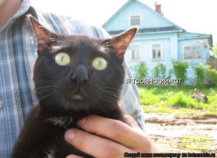 я троянский кот... Котоматрица: я троянский кот