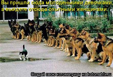Вы пришли сюда молоденькими девочками, а выйдете отсюда опытными женщинами.... Котоматрица: Вы пришли сюда молоденькими девочками, а выйдете отсюда опытными женщинами.