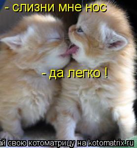 - слизни мне нос - да легко !... Котоматрица: - слизни мне нос - да легко !