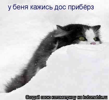 Котоматрица: у беня кажись дос прибёрз