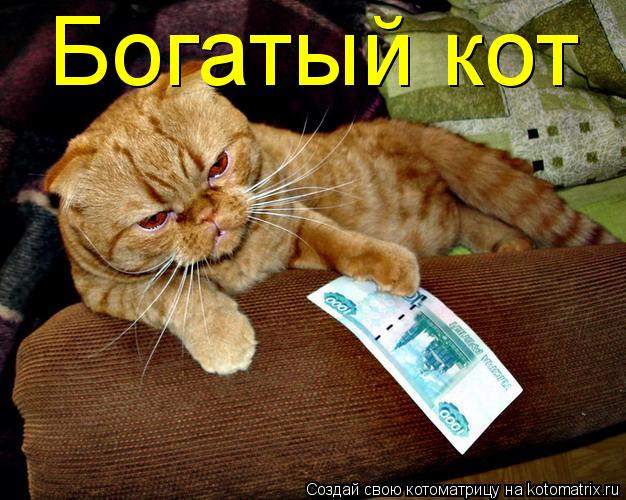 Богатый кот... Котоматрица: Богатый кот