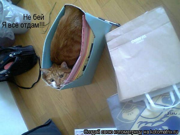 Котоматрица: Не бей Я всё отдам !!!