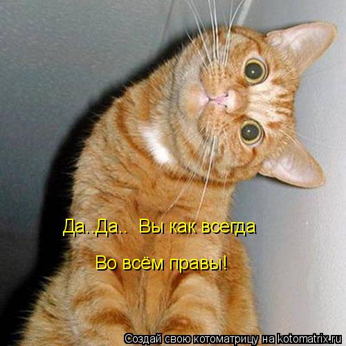 Да..Да.. Вы как всегда Во всём правы!... Котоматрица: Да..Да.. Вы как всегда Во всём правы!