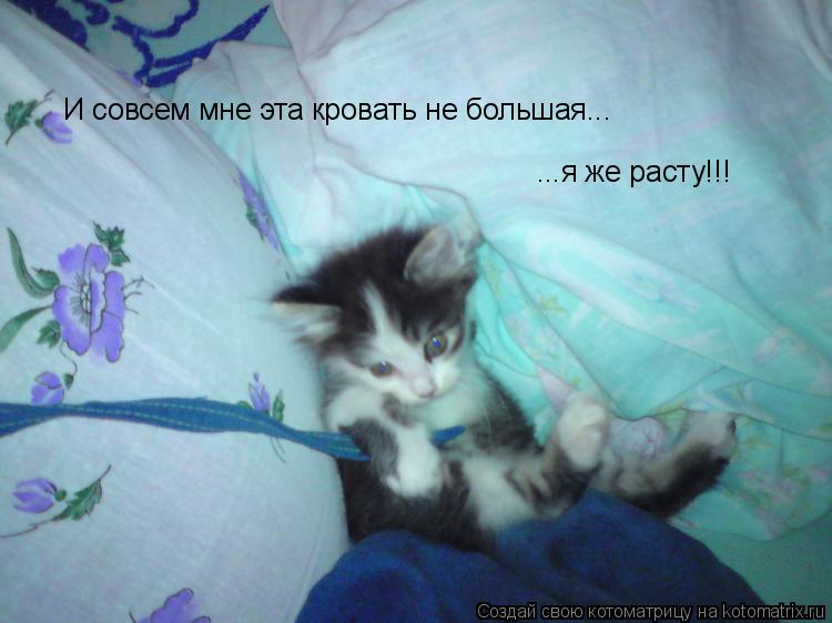 Котоматрица: И совсем мне эта кровать не большая... ...я же расту!!!