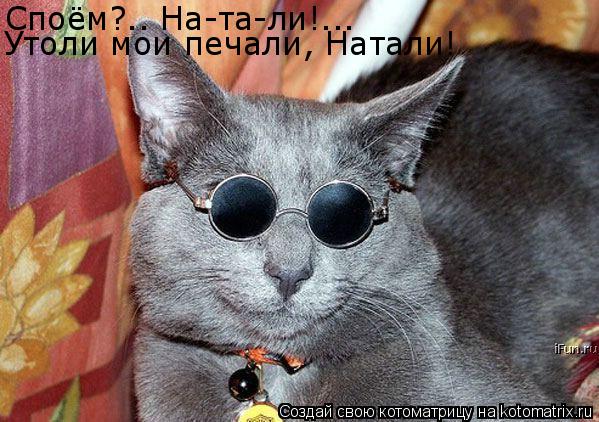 Споём?.. На-та-ли!... Утоли мои печали, Натали!... Котоматрица: Споём?.. На-та-ли!... Утоли мои печали, Натали!