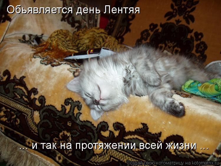 Котоматрица: Обьявляется день Лентяя ... и так на протяжении всей жизни ...
