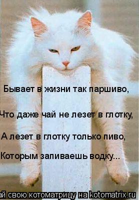 Бывает в жизни так паршиво, А лезет в глотку только пиво, Которым запиваешь водку... Что даже чай не... Котоматрица: Бывает в жизни так паршиво, А лезет в глотку только пиво, Которым запиваешь водку... Что даже чай не лезет в глотку,