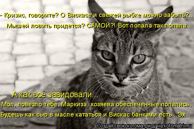 - Кризис, говорите? О Вискасе и свежей рыбке можно забыть?.. Мышей ловить придется? САМОЙ?! Вот попал... Котоматрица: - Кризис, говорите? О Вискасе и свежей рыбке можно забыть?.. Мышей ловить придется? САМОЙ?! Вот попала так попала... А как все завидовали... Мол, п