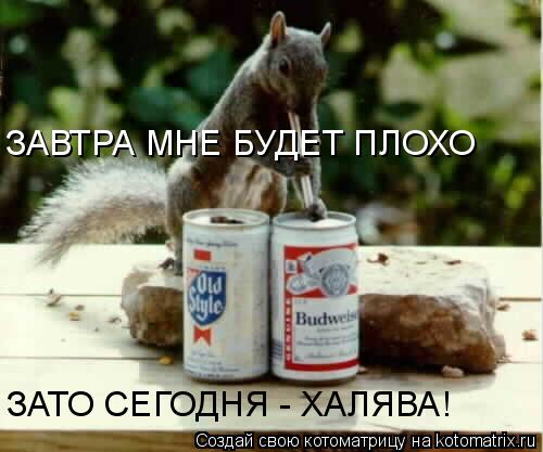 Котоматрица: ЗАВТРА МНЕ БУДЕТ ПЛОХО ЗАТО СЕГОДНЯ - ХАЛЯВА!