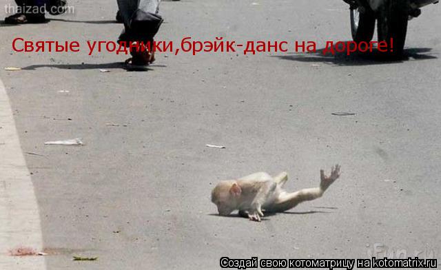 Котоматрица: Святые угодники,брэйк-данс на дороге!