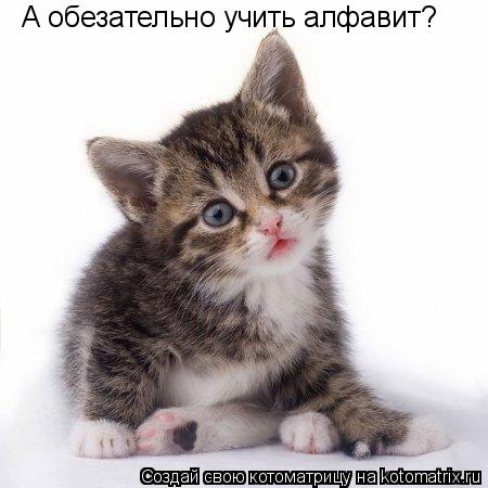 Котоматрица: А обезательно учить алфавит?