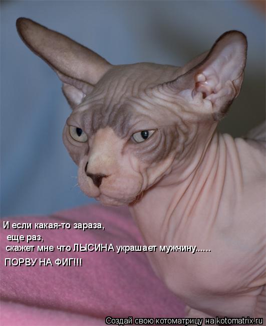 И если какая-то зараза, еще раз, скажет мне что ЛЫСИНА украшает мужчину...... ПОРВУ НА ФИГ!!! еще раз... Котоматрица: И если какая-то зараза, еще раз, скажет мне что ЛЫСИНА украшает мужчину...... ПОРВУ НА ФИГ!!! еще раз, скажет мне что ЛЫСИНА украшает мужчину......
