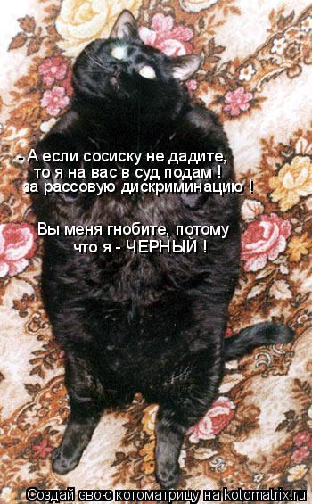 Котоматрица: - А если сосиску не дадите,  то я на вас в суд подам ! за рассовую дискриминацию ! Вы меня гнобите, потому что я - ЧЕРНЫЙ !