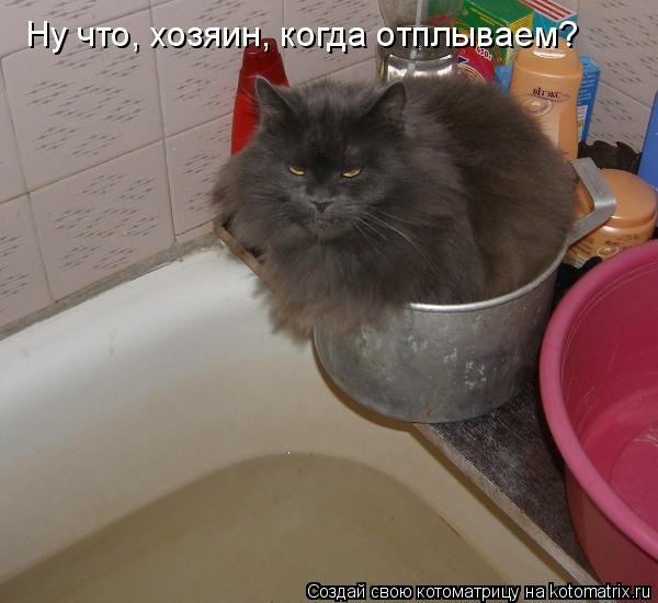Ну что, хозяин, когда отплываем?... Котоматрица: Ну что, хозяин, когда отплываем?