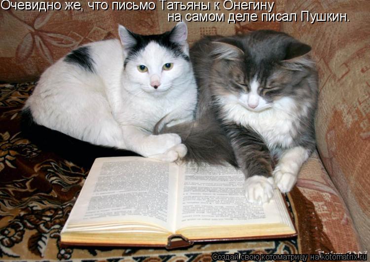 Очевидно же, что письмо Татьяны к Онегину на самом деле писал Пушкин.... Котоматрица: Очевидно же, что письмо Татьяны к Онегину на самом деле писал Пушкин.