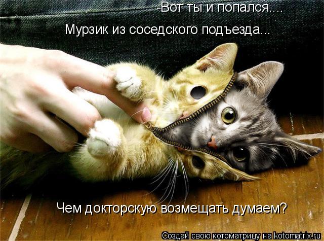 -Вот ты и попался.... Мурзик из соседского подъезда... Чем докторскую возмещать думаем?... Котоматрица: -Вот ты и попался.... Мурзик из соседского подъезда... Чем докторскую возмещать думаем?