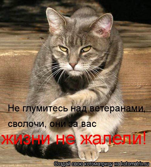 Не глумитесь над ветеранами, Не глумитесь над ветеранами, сволочи, они за вас сволочи, они за вас ж... Котоматрица: Не глумитесь над ветеранами, Не глумитесь над ветеранами, сволочи, они за вас сволочи, они за вас жизни не жалели!