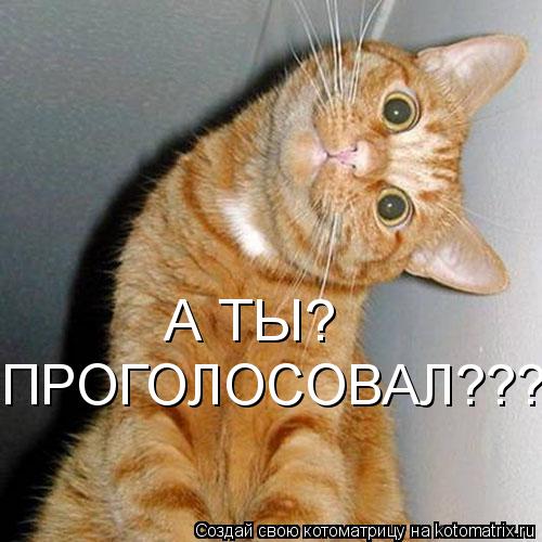 А ТЫ? ПРОГОЛОСОВАЛ???... Котоматрица: А ТЫ? ПРОГОЛОСОВАЛ???