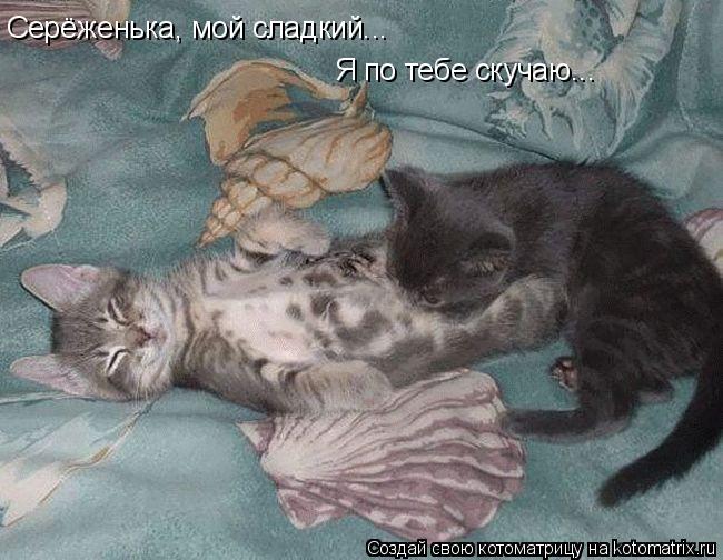 Серёженька, мой сладкий... Я по тебе скучаю...... Котоматрица: Серёженька, мой сладкий... Я по тебе скучаю...