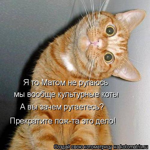 Котоматрица: Я то Матом не ругаюсь мы вообще культурные коты А вы зачем ругаетесь? Прекратите пож-та это дело!