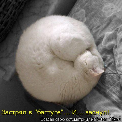 Застрял в "баттуге"... И... заснул!... Котоматрица: Застрял в "баттуге"... И... заснул!