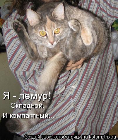Я - лемур! Складной. И компактный...... Котоматрица: Я - лемур! Складной. И компактный...