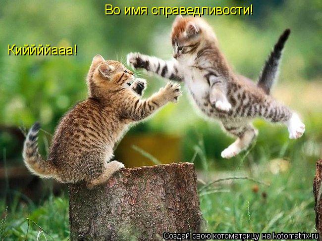 Киййййааа! Во имя справедливости!... Котоматрица: Киййййааа! Во имя справедливости!