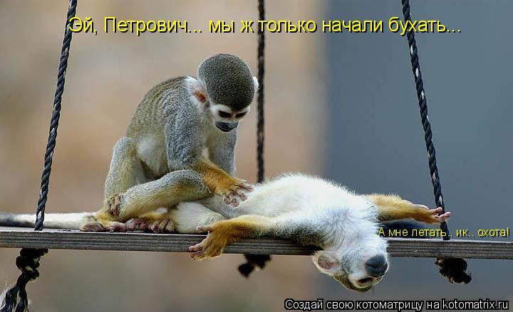 Эй, Петрович... мы ж только начали бухать... А мне летать.. ик.. охота!... Котоматрица: Эй, Петрович... мы ж только начали бухать... А мне летать.. ик.. охота!