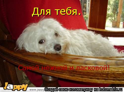 Самой нежной и ласковой! Для тебя.... Котоматрица: Самой нежной и ласковой! Для тебя.