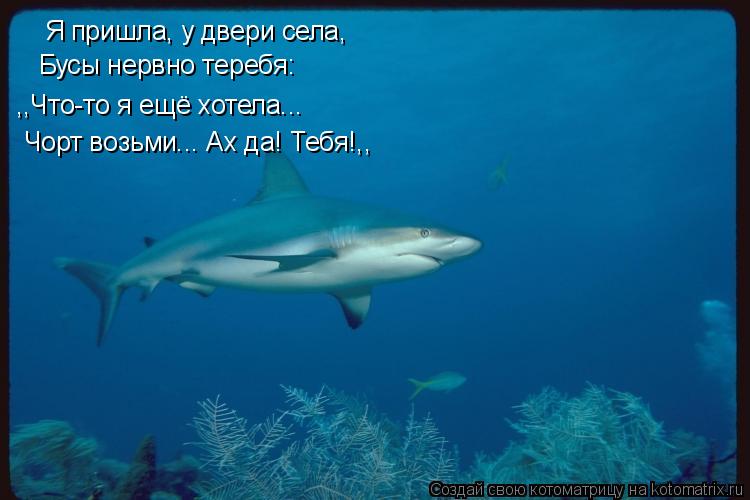 Котоматрица: Я пришла, у двери села, Бусы нервно теребя: ,,Что-то я ещё хотела... Чорт возьми... Ах да! Тебя!,,