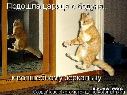 Котоматрица: Подошла царица с бодуна...  ...к волшебному зеркальцу....