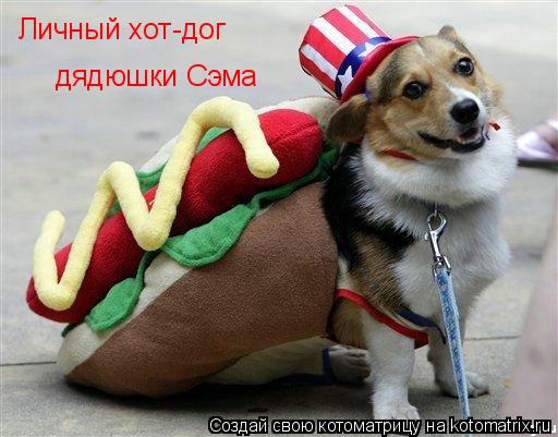 Личный хот-дог дядюшки Сэма... Котоматрица: Личный хот-дог дядюшки Сэма