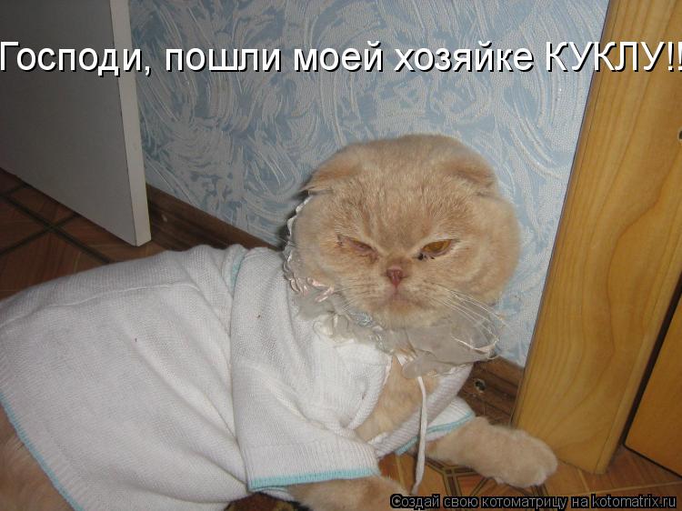Господи, пошли моей хозяйке КУКЛУ!!!... Котоматрица: Господи, пошли моей хозяйке КУКЛУ!!!