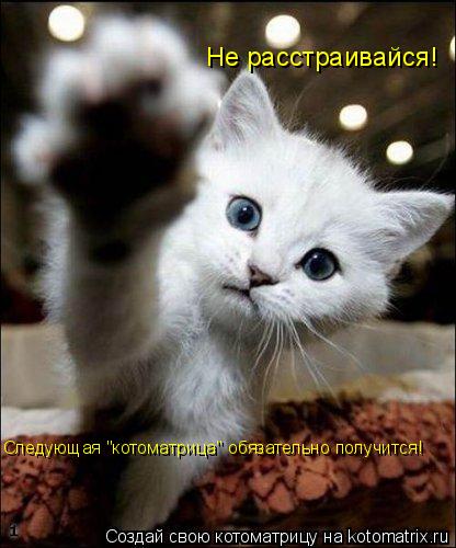 Не расстраивайся! Следующая "котоматрица" обязательно получится!... Котоматрица: Не расстраивайся! Следующая "котоматрица" обязательно получится!