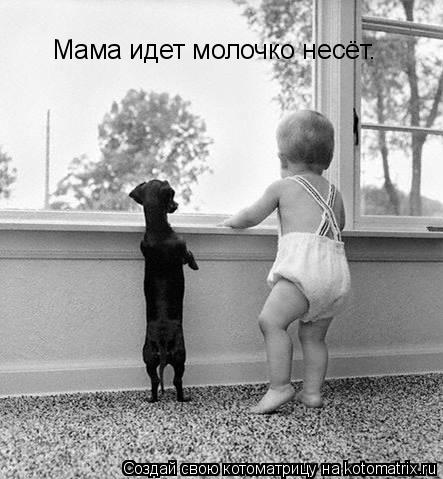 Котоматрица: Мама идет молочко несёт.