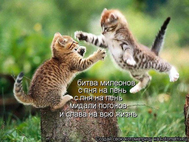 битва милеонов с пня на пень с пня на пень мидали погонов и слава на всю жизнь... Котоматрица: битва милеонов с пня на пень с пня на пень мидали погонов и слава на всю жизнь