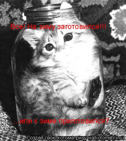 Все! На зиму заготовился!!! ...или к зиме приготовился?... Котоматрица: Все! На зиму заготовился!!! ...или к зиме приготовился?