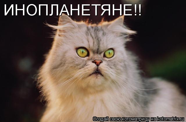 Котоматрица: ИНОПЛАНЕТЯНЕ!!