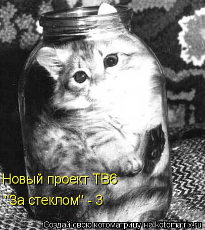 "За стеклом" - 3 Новый проект ТВ6... Котоматрица: "За стеклом" - 3 Новый проект ТВ6