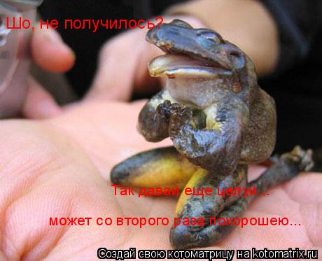 Котоматрица: Шо, не получилось? Так давай еще целуй... может со второго раза похорошею...