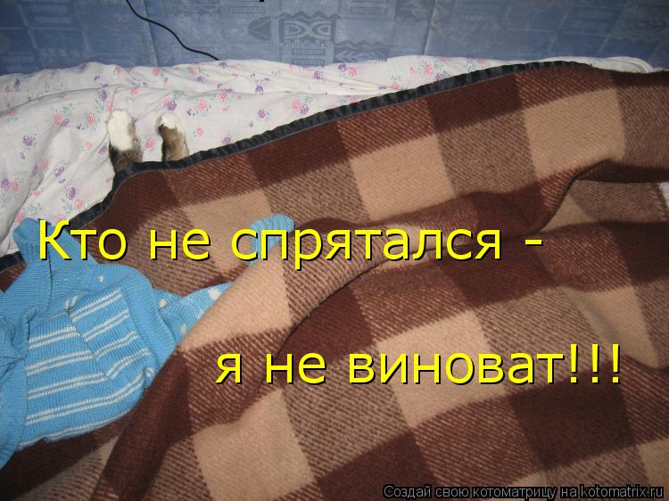 Кто не спрятался - Кто не спрятался - я не виноват!!! я не виноват!!!... Котоматрица: Кто не спрятался - Кто не спрятался - я не виноват!!! я не виноват!!!