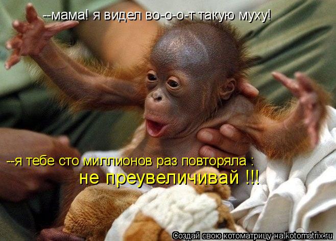 --мама! я видел во-о-о-т такую муху! --я тебе сто миллионов раз повторяла : не преувеличивай !!!... Котоматрица: --мама! я видел во-о-о-т такую муху! --я тебе сто миллионов раз повторяла : не преувеличивай !!!
