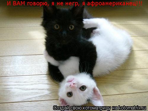 И ВАМ говорю, я не негр, я афроамериканец!!!... Котоматрица: И ВАМ говорю, я не негр, я афроамериканец!!!