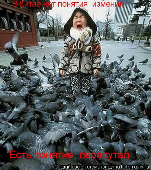 Котоматрица: В Китае нет понятия «изменил». Есть понятие «перепутал».