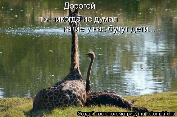 Котоматрица: Дорогой, ты никогда не думал  какие у нас будут дети...